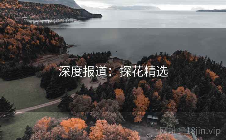 深度报道：探花精选