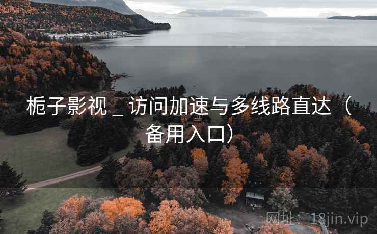 栀子影视 _ 访问加速与多线路直达（备用入口）