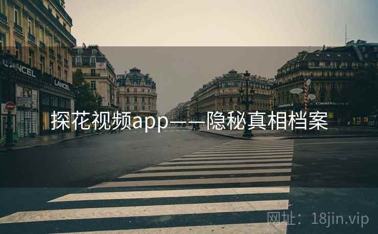 探花视频app——隐秘真相档案