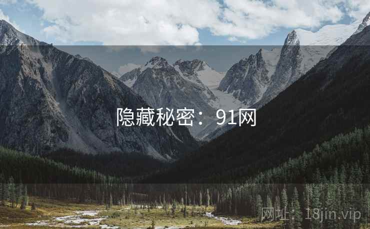 隐藏秘密：91网