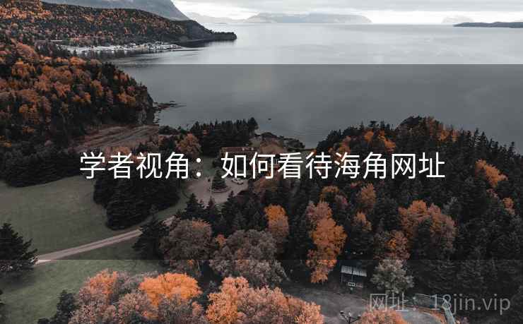 学者视角：如何看待海角网址