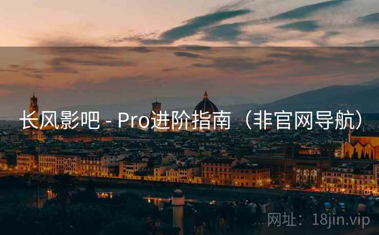 长风影吧 - Pro进阶指南（非官网导航）