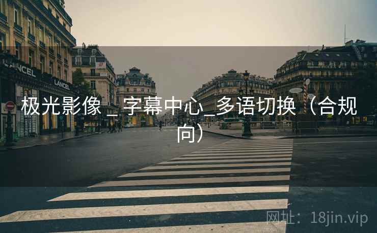 极光影像 _ 字幕中心_多语切换（合规向）