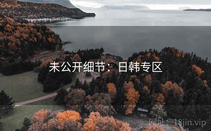 未公开细节：日韩专区