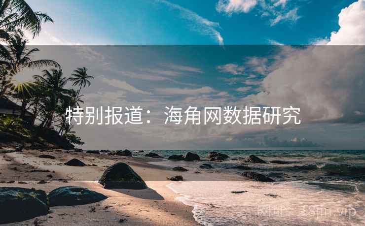 特别报道：海角网数据研究