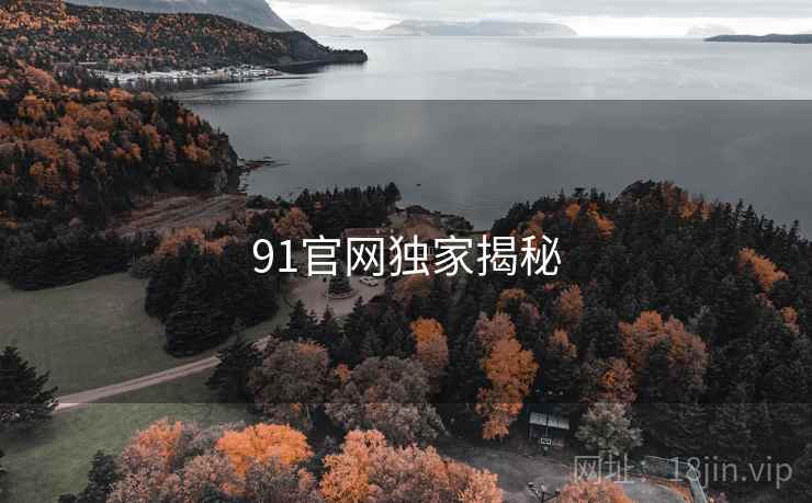 91官网独家揭秘
