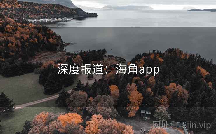深度报道：海角app